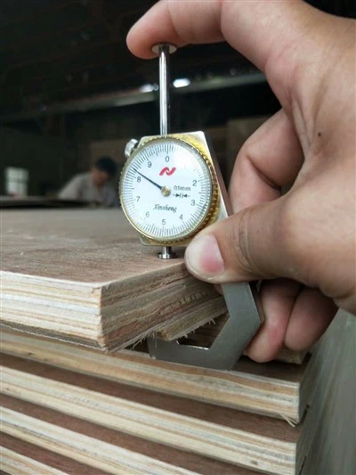 28 mm Containerboden-Sperrholz