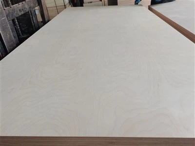 Birkensperrholz 1525x1525mm